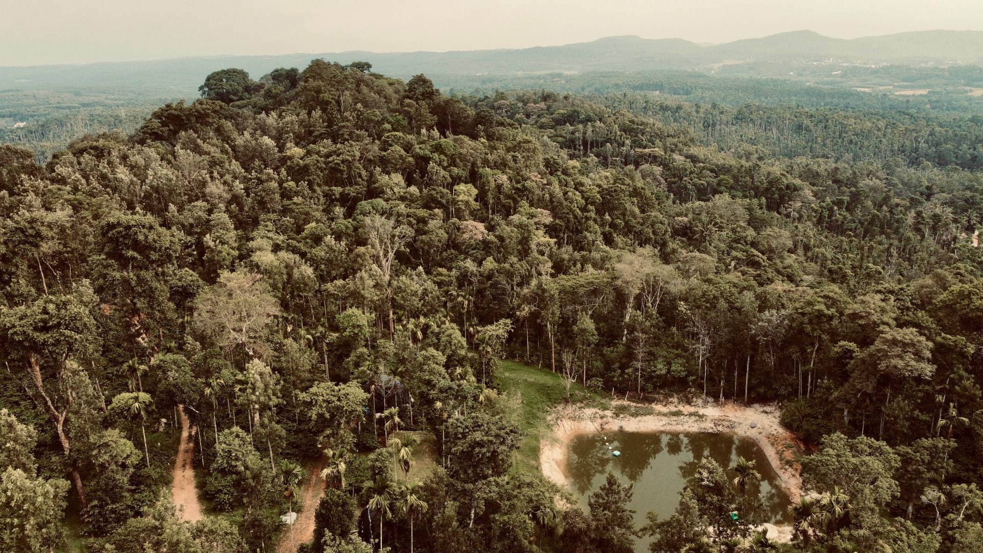 The estate canopy seen from above, with a pond among the trees.