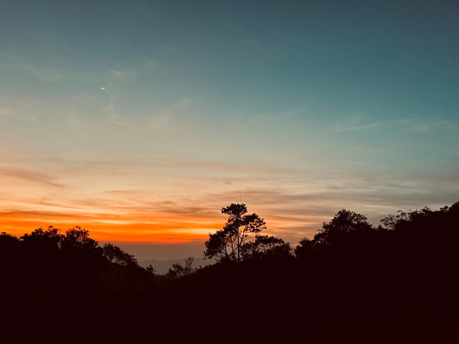 Trees silhouetted against an orange evening sky.