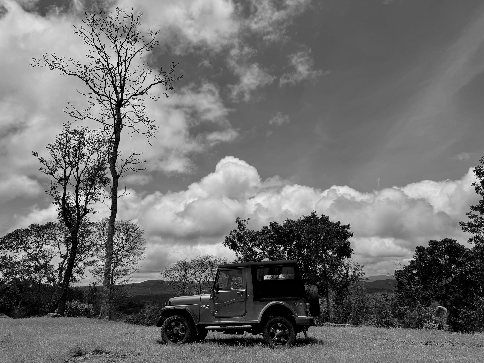 A jeep parked on the open ridge at Honeyridge, under a wide sky and a bare tree.